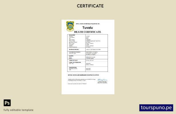 listo para imprimir plantilla de plantilla de Word y PDF del certificado de de 2
